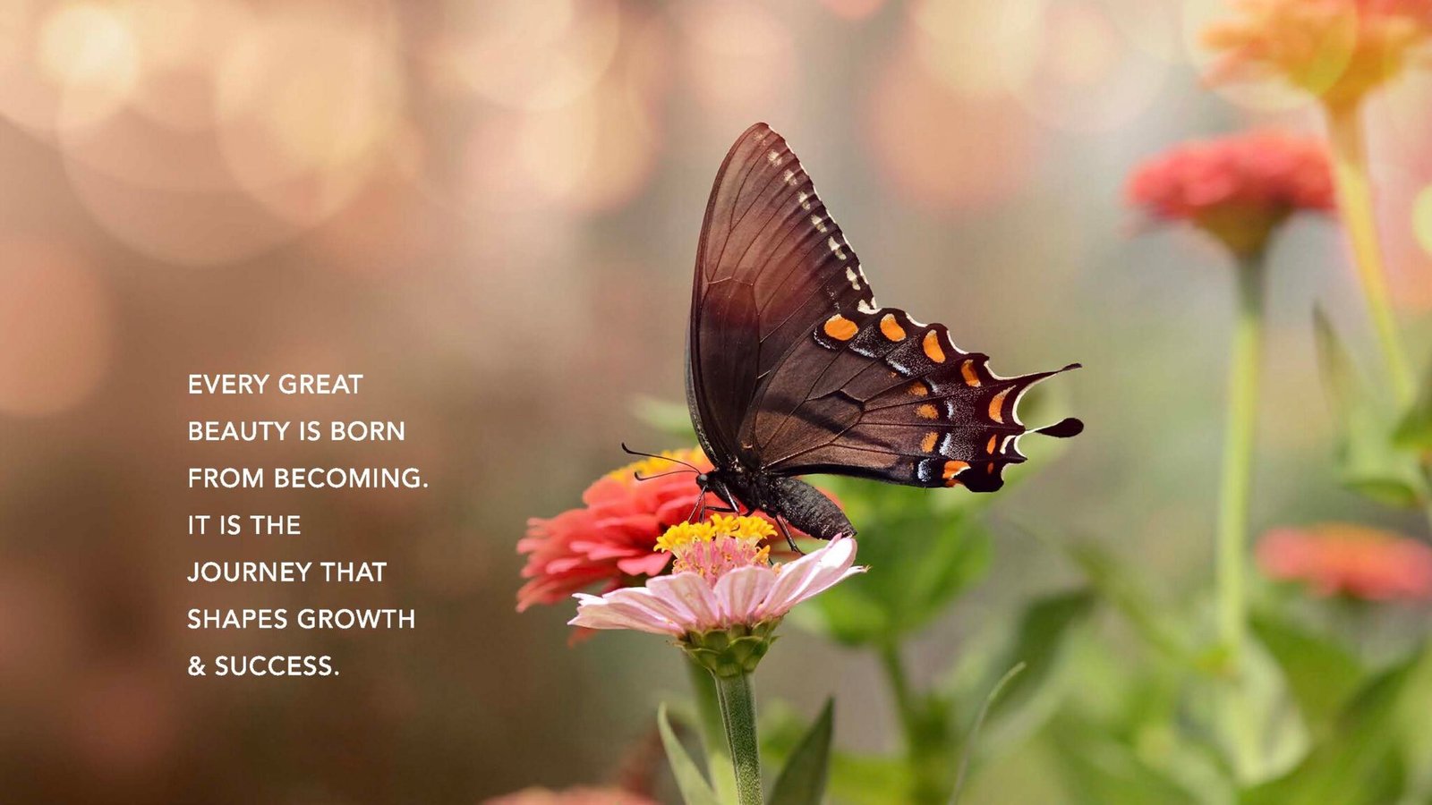 Gaurs Chrysalis Sector 22D Yamuna Expressway Brochure